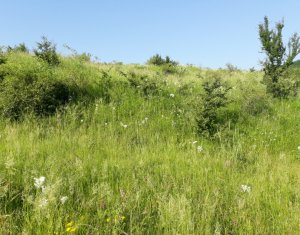 Telek eladó on Floresti