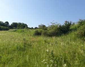 Telek eladó on Floresti