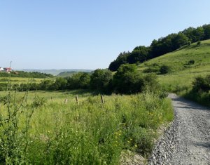 Telek eladó on Floresti