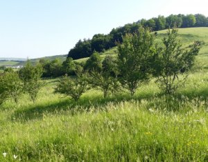 Telek eladó on Floresti