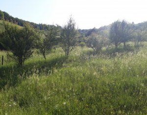 Telek eladó on Floresti