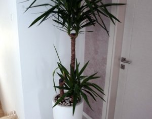 Ház 5 szobák eladó on Cluj-napoca, Zóna Iris