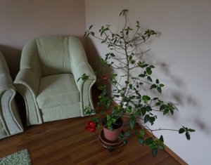 Ház 5 szobák eladó on Cluj-napoca, Zóna Buna Ziua