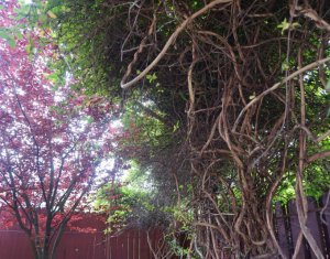 Ház 5 szobák eladó on Cluj-napoca, Zóna Buna Ziua