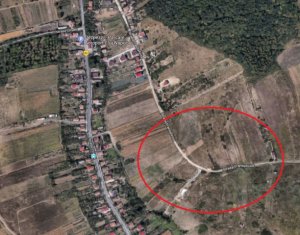 Telek eladó on Dezmir