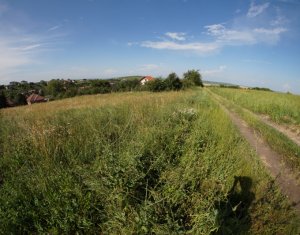 Telek eladó on Dezmir