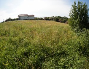 Telek eladó on Dezmir