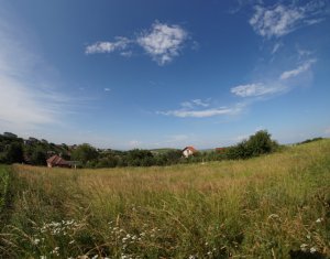 Telek eladó on Dezmir