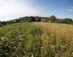Telek eladó on Dezmir