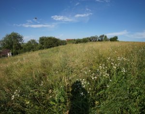 Telek eladó on Dezmir