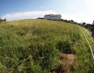 Telek eladó on Dezmir