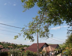 Telek eladó on Dezmir