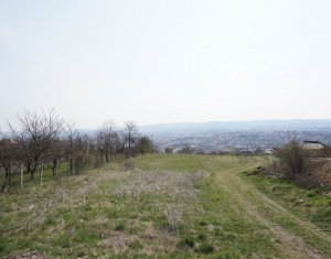 Telek eladó on Cluj-napoca, Zóna Dambul Rotund