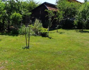 Ház 4 szobák eladó on Cluj-napoca, Zóna Borhanci