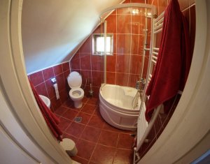 Ház 4 szobák eladó on Cluj-napoca, Zóna Borhanci