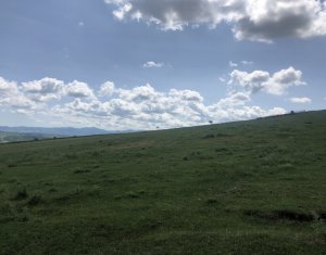 Telek eladó on Floresti