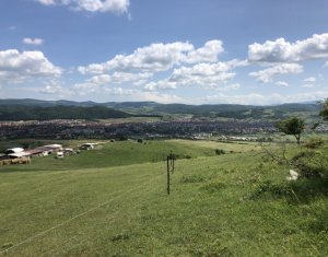 Telek eladó on Floresti