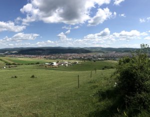 Telek eladó on Floresti