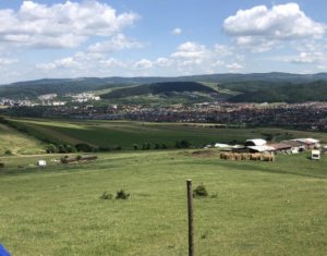 Telek eladó on Floresti