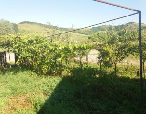 Telek eladó on Vultureni