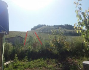 Telek eladó on Vultureni