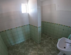 Ház 12 szobák kiadó on Cluj-napoca, Zóna Andrei Muresanu