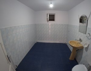 Ház 12 szobák kiadó on Cluj-napoca, Zóna Andrei Muresanu