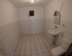 Ház 12 szobák kiadó on Cluj-napoca, Zóna Andrei Muresanu