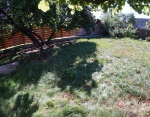 Ház 12 szobák kiadó on Cluj-napoca, Zóna Andrei Muresanu