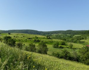 Telek eladó on Floresti
