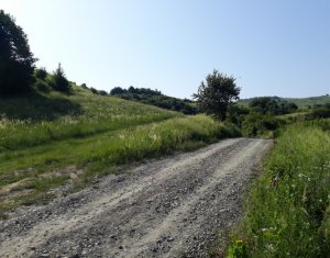 Telek eladó on Floresti