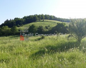 , 1400m2 on Floresti