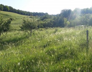 Telek eladó on Floresti