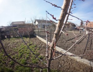 Ház 2 szobák kiadó on Sannicoara