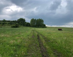 , 4300m2 on Cluj-napoca