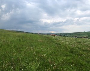 Telek eladó on Cluj-napoca