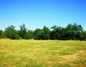 Ház 5 szobák eladó on Feleacu