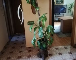 Lakás 4 szobák eladó on Cluj-napoca, Zóna Manastur