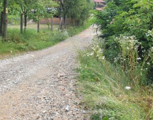 Telek eladó on Feleacu