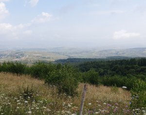 Telek eladó on Feleacu