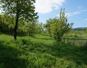 Telek eladó on Cluj-napoca, Zóna Sopor