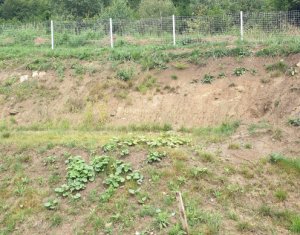 Ház 4 szobák eladó on Feleacu