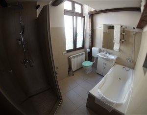 Lakás 1 szobák kiadó on Cluj-napoca, Zóna Centru