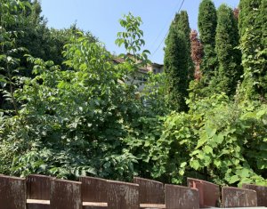 Telek eladó on Cluj-napoca, Zóna Zorilor