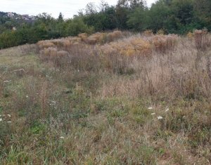 Telek eladó on Feleacu