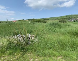 Telek eladó on Cluj-napoca, Zóna Iris