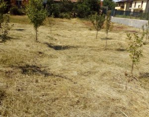 Telek eladó on Cluj-napoca, Zóna Someseni