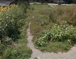 Terrain à vendre dans Cluj-napoca