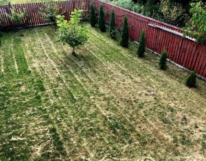 Ház 4 szobák eladó on Gilau