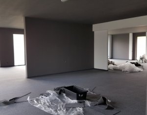 Spatiu comercial 80 mp, vad auto - Buna Ziua
